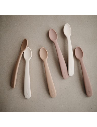 Set de 2 cuillères