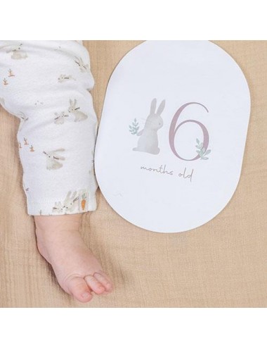 Carte mes 12 premiers mois