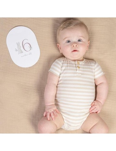 Carte mes 12 premiers mois