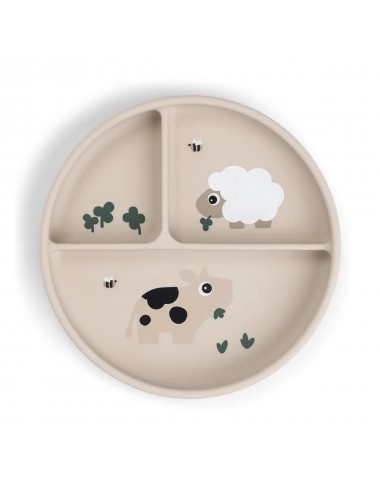 Assiette compartimentée