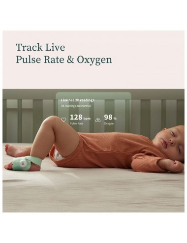 Owlet Smart Sock