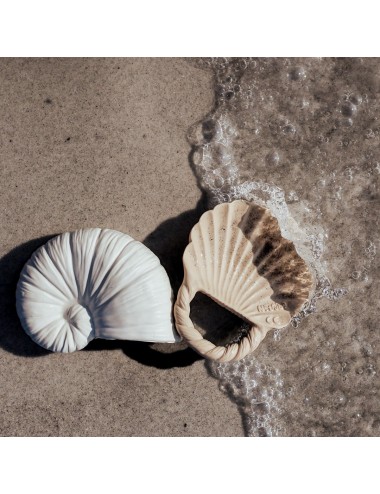 Jeu de bain coquillage