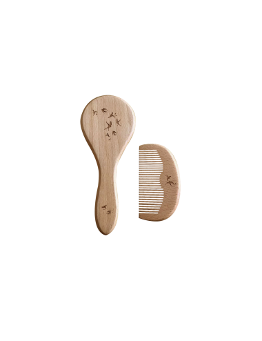 Brosse et peigne
