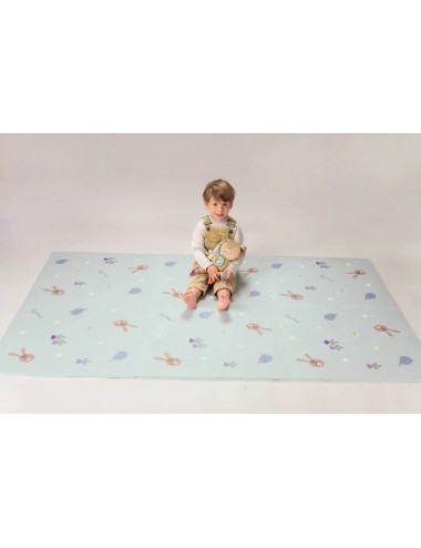 Tapis de dalle 180x120
