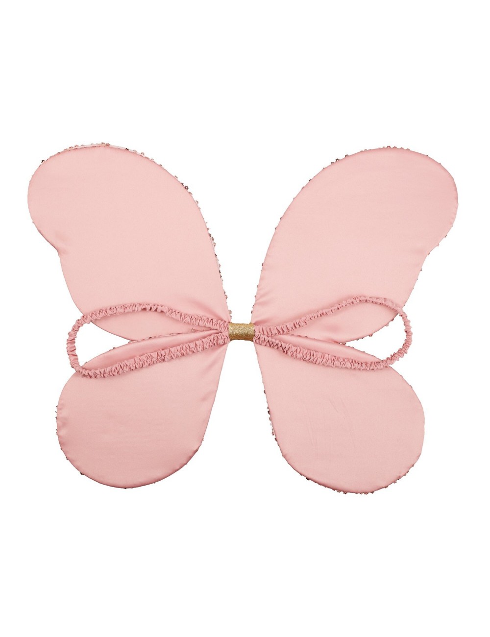 Ailes de fée