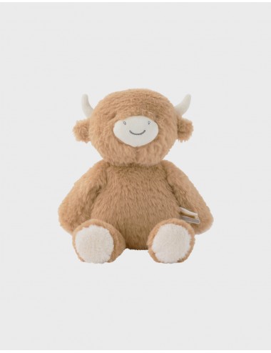 Peluche