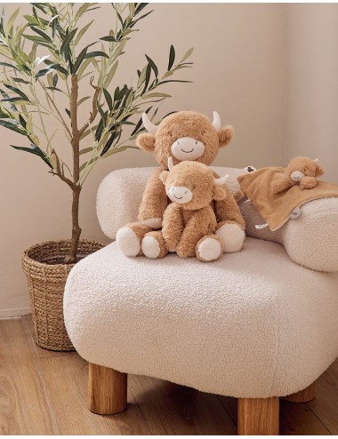 Peluche