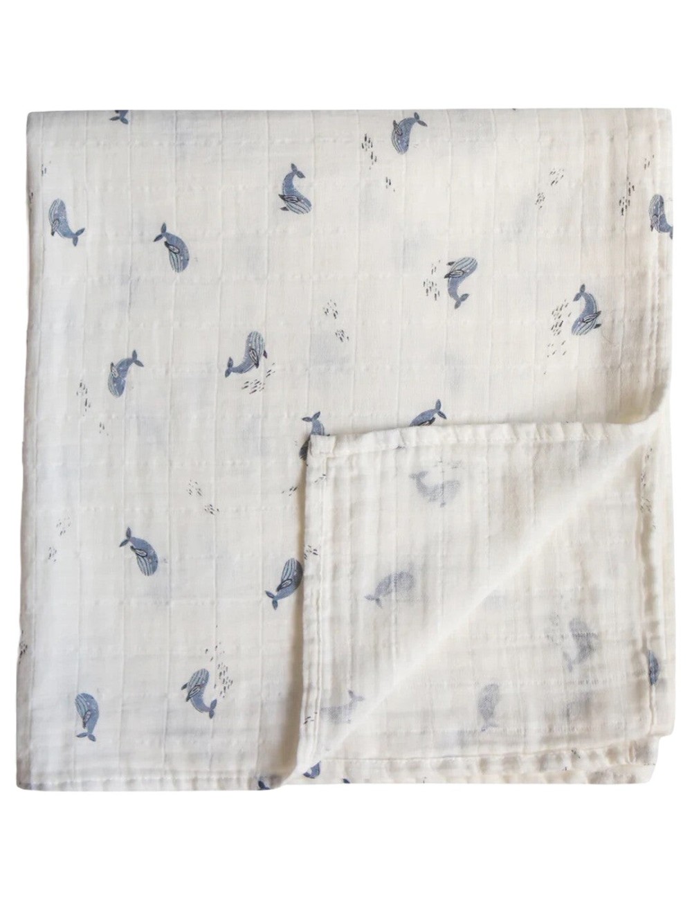 Tetra 120x120