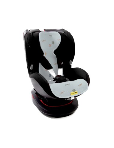 Protection maxi-cosi