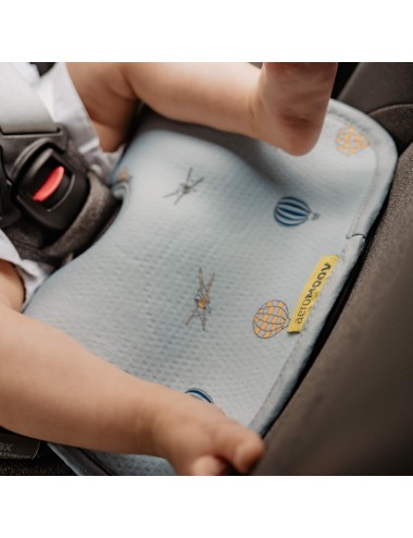 Protection maxi-cosi