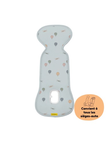 Protection maxi-cosi