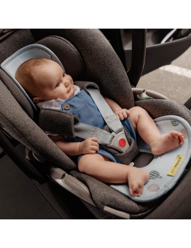 Protection maxi-cosi