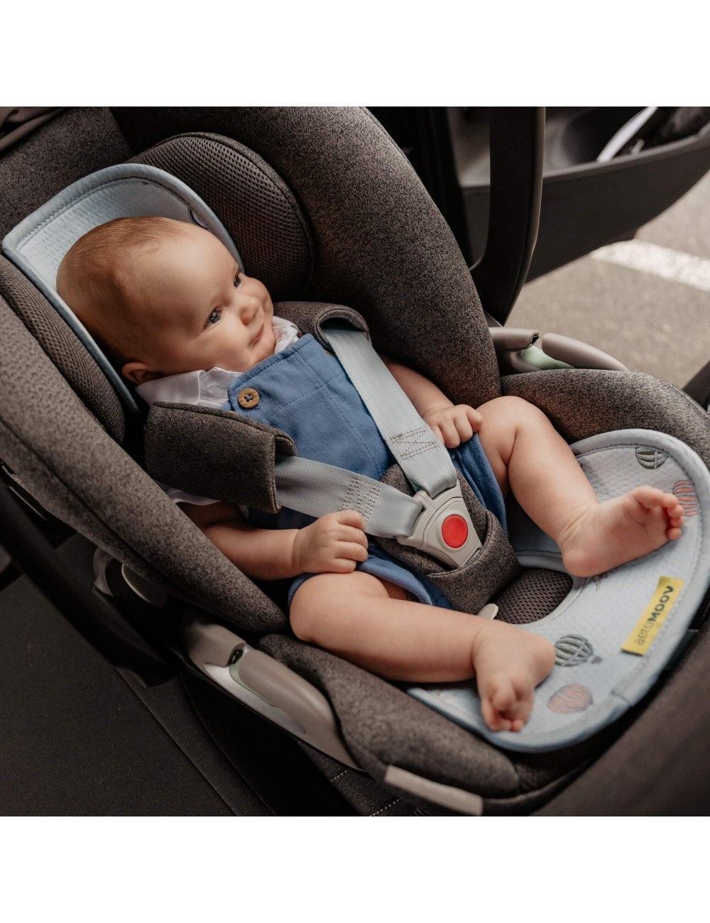 Protection maxi-cosi