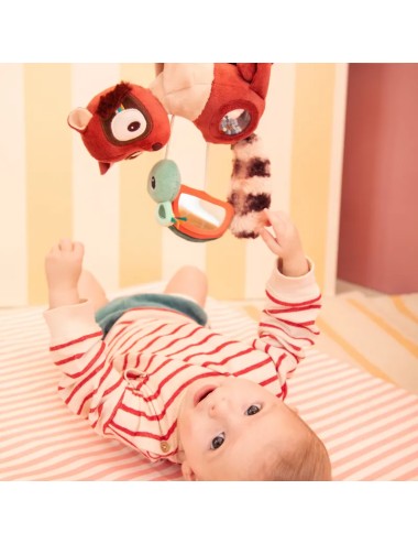 Jeu maxi-cosi