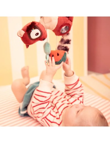 Jeu maxi-cosi