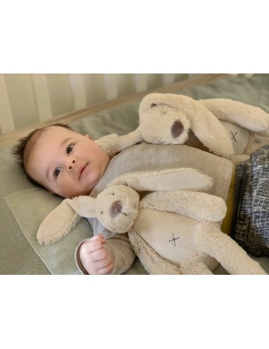 Peluche
