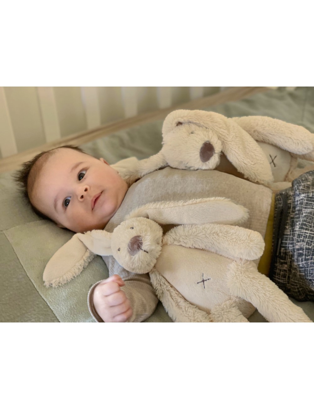 Peluche